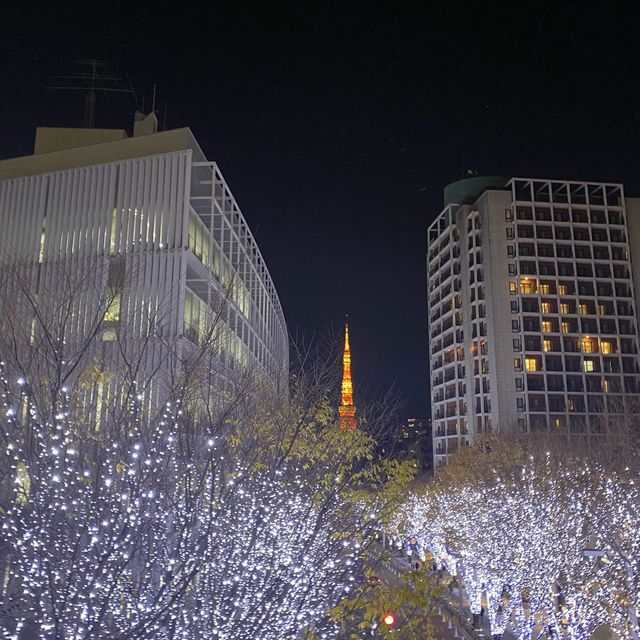 東京聖誕必去打卡位 六本木櫸木坂通
