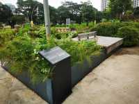 Jurong Lake Floating Wetlands - Part 1