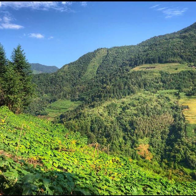 Rice terraces in Guilin