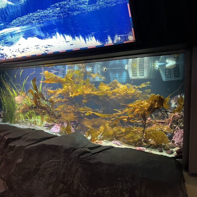 Aquarium in Vancouver 