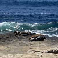 La Jolla Cove