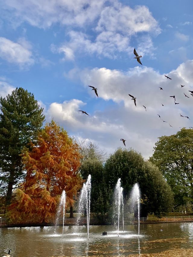 英國 • 秋｜抓住秋天的尾巴來跟紅葉打卡吧