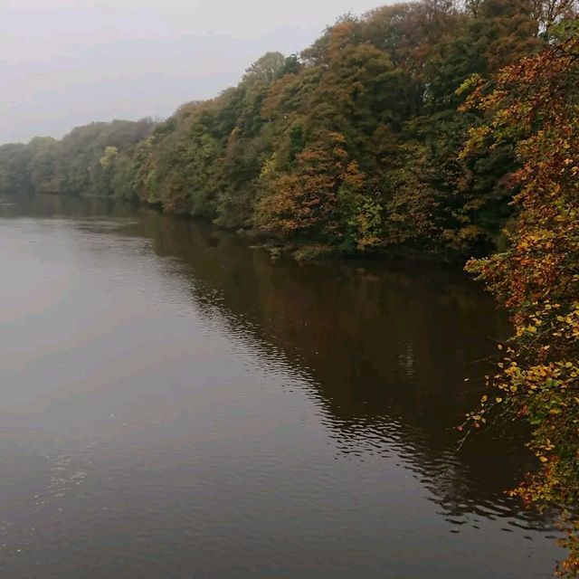 Out and about in Aberdeen 