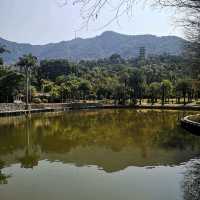 Fairy Lake, Xianhu Botanical Park