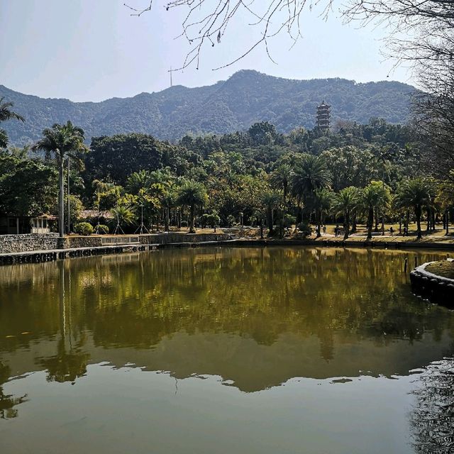 Fairy Lake, Xianhu Botanical Park