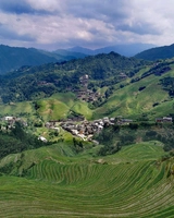 Panoramic Rice Terrace View. 