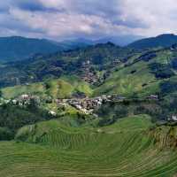 Panoramic Rice Terrace View. 