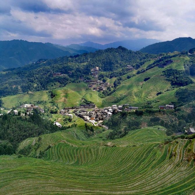 Panoramic Rice Terrace View. 