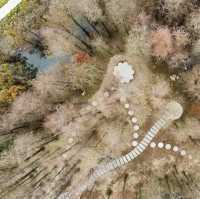 珠海斗門區的第一個溼地公園-黃楊河溼地公園