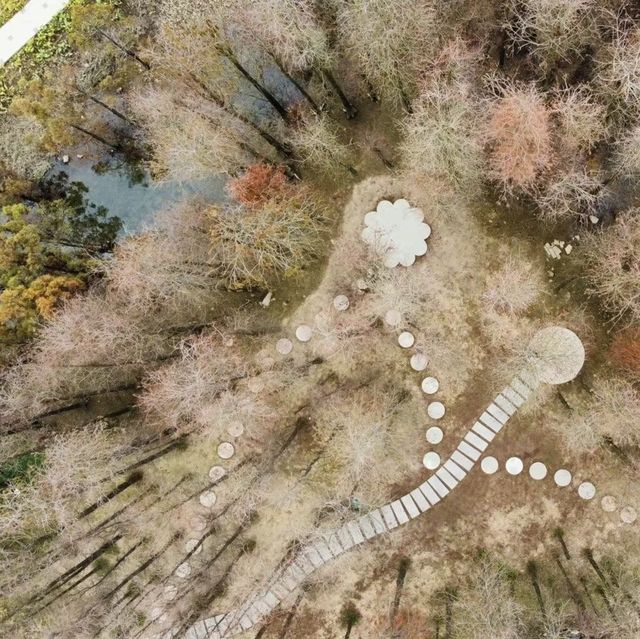 珠海斗門區的第一個溼地公園-黃楊河溼地公園