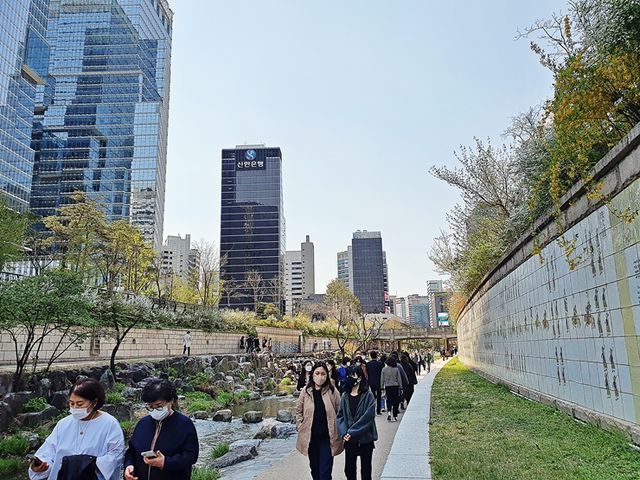 봄날 청계천 나들이