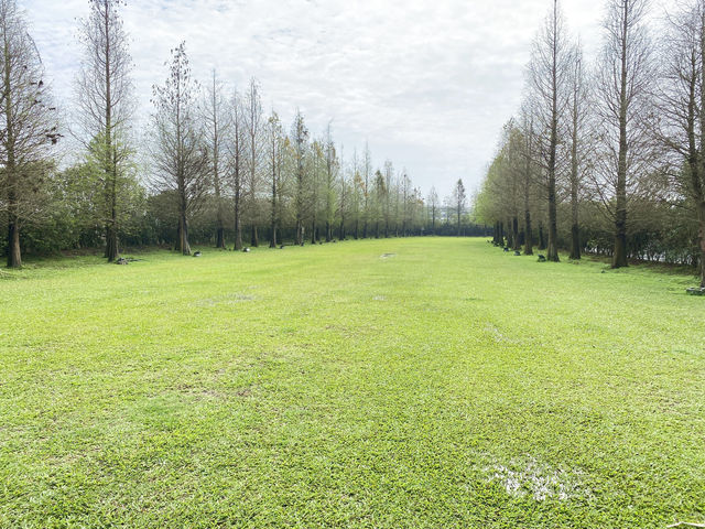 悅來居莊園(民宿)有超大草皮(寵物友善)、落羽松秘境、實景比照片美的民宿