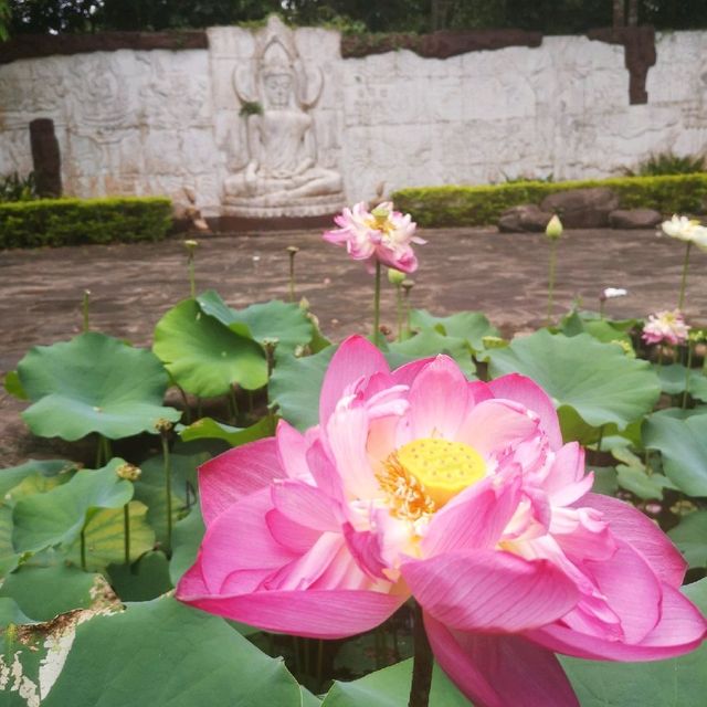 Awesome Natural Beauty at the Botanical Park