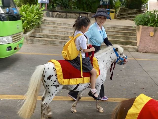 Shenzhen Safari Park 🦒