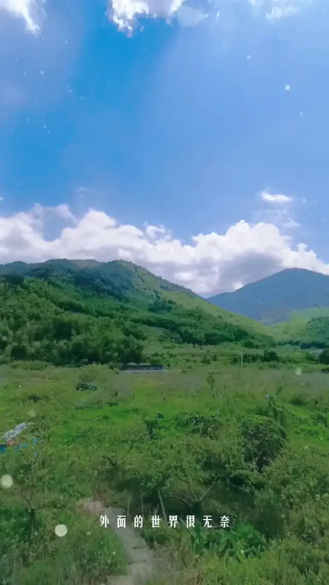 panoramic Xitou ❤️