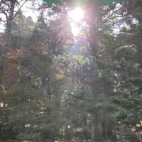 The Flower Path Garden Ruqin Lake Jiangxi