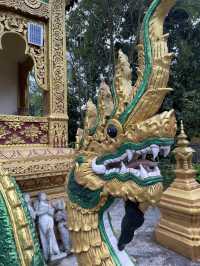 Visit the Dragons of Manzhang Village