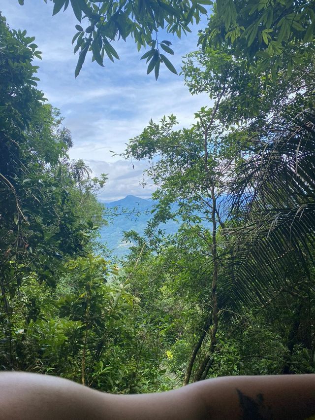 Qixian Ridge 🌳, 45 minutes north of Sanya, chill in the mountains like immortals for a day 🏵️.