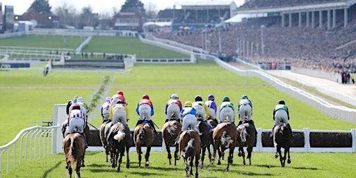 Sue Ryder Gold Cup Day at Gloucester Brewery | Gloucester Brewery @ Warehouse4