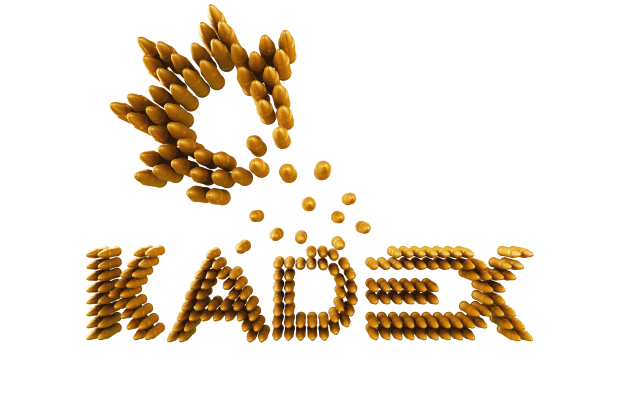 Cadex 7200. Kadex logo. Кадекс. Cadex c7400-c анализатор аккумуляторных батарей на 4 слота,. Кадекс.