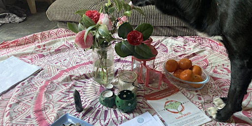 Menstruality circle | 62 Canterbury Rd