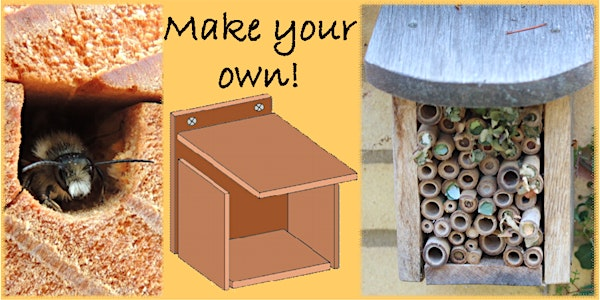 Make a Bee Hotel | Ryton Pools Country Park