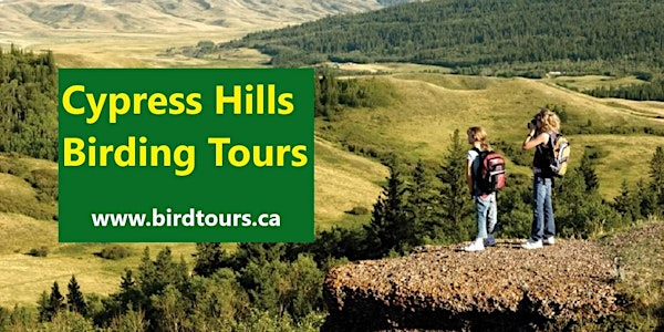 Cypress Hills 4-day Birding Tour | Willowbend Motel