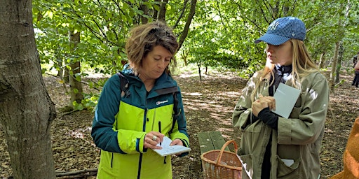 Nature Journaling in Wardens' Wood | Wardens Wood