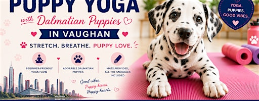 Dalmatian Puppy Yoga in Vaughan | ViBE Dance & Fitness Studio