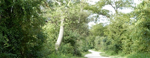 Where Nature Meets Soul: A Writing Walk in the Woods | River Bend Community Park