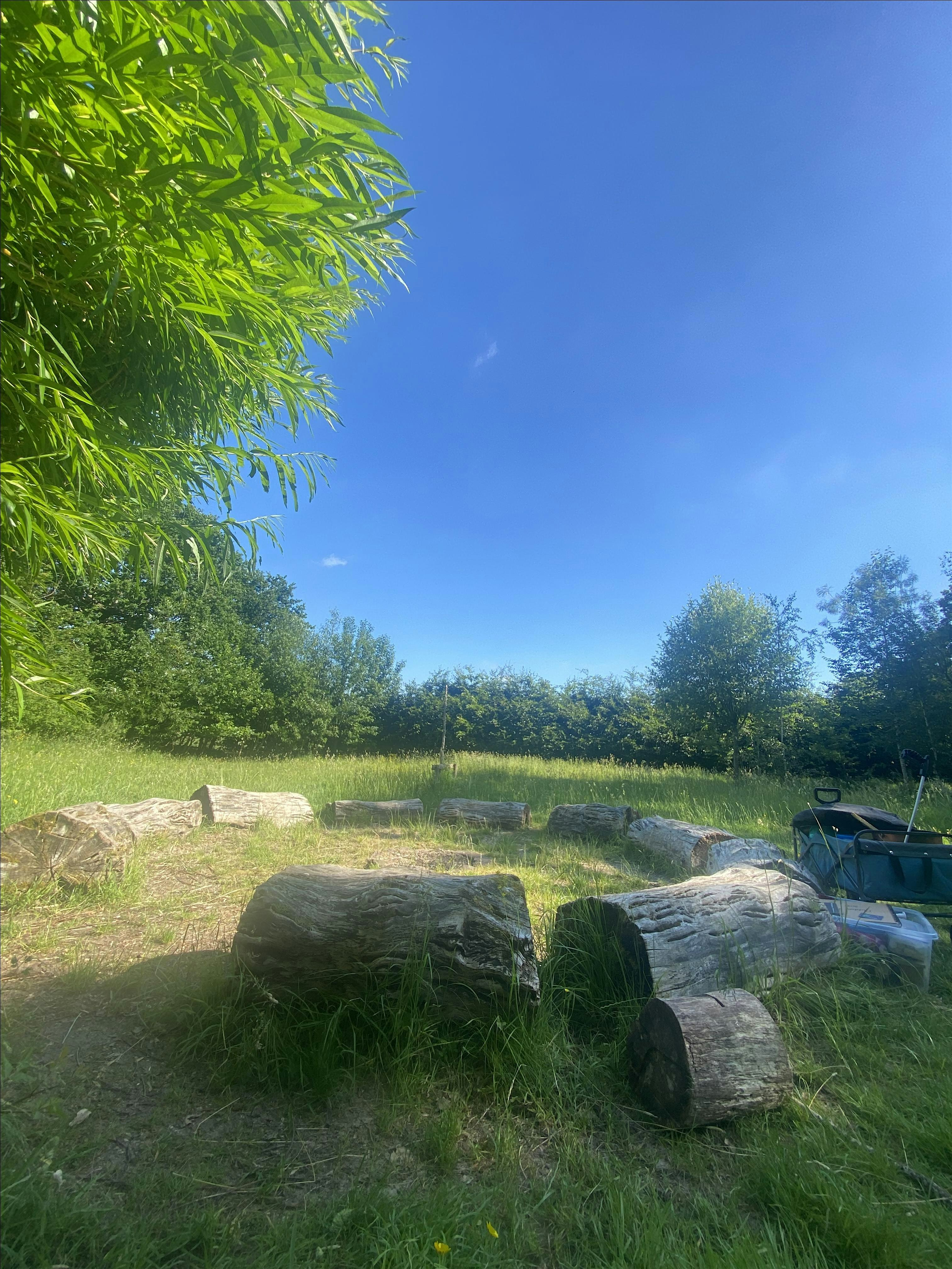 Holy Apostles Forest School Club (Autumn Term 1) Year groups 1-6 | Holy Apostles Primary School