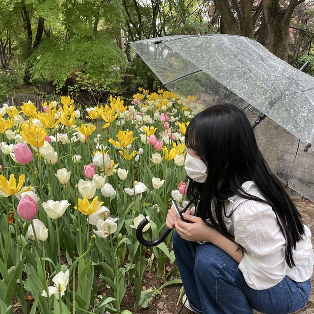 자연과 함께하는 벽초지 수목원