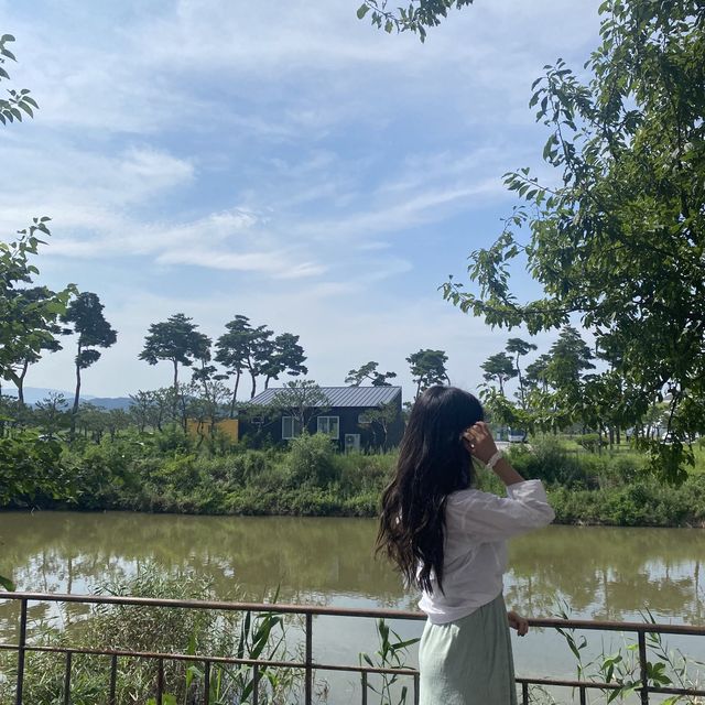 강릉 대형카페 - 테라로사