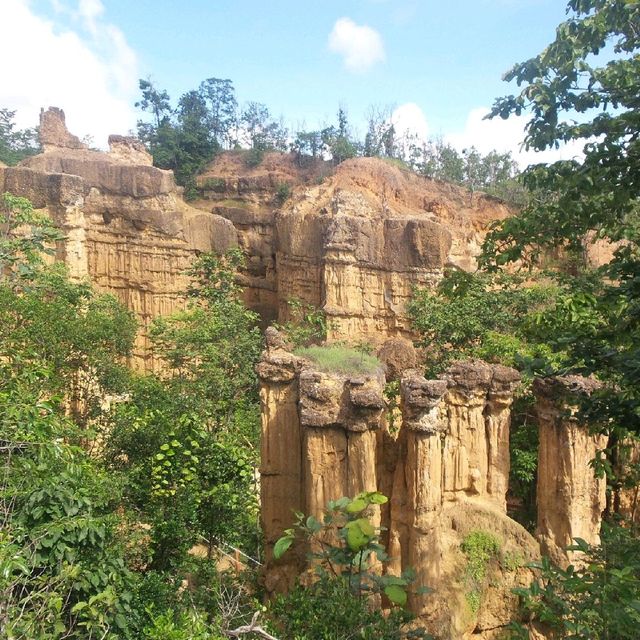 ผาช่อ@อุทยานแห่งชาติแม่วาง