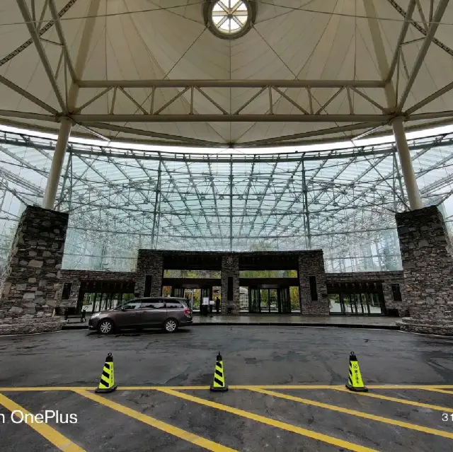 不一样的洲際酒店