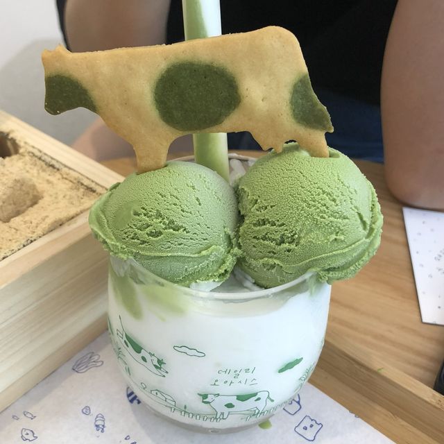 [위례] 말차덕후들 다 모여..🌿 카페 데일리오아시스🐄