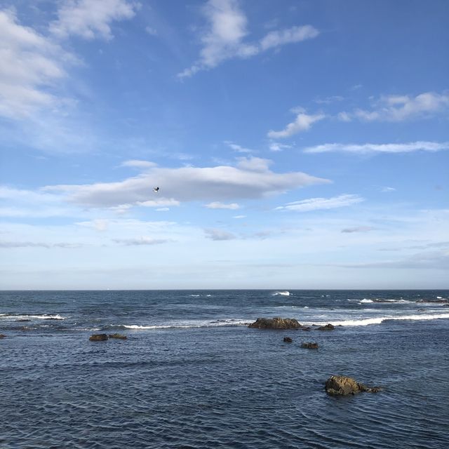 [포항] 바다로 훌쩍 떠나고싶을 때, 호미곶🖐🏻