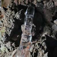 【山梨】富士山のお腹に入れる！洞窟～船津胎内樹型