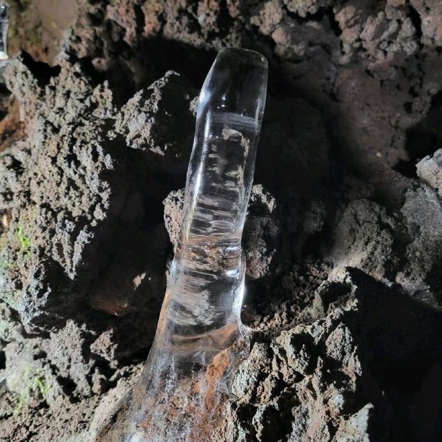 【山梨】富士山のお腹に入れる！洞窟～船津胎内樹型