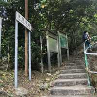 A memorable hike along Yuen Tsuen Ancient Trail 
