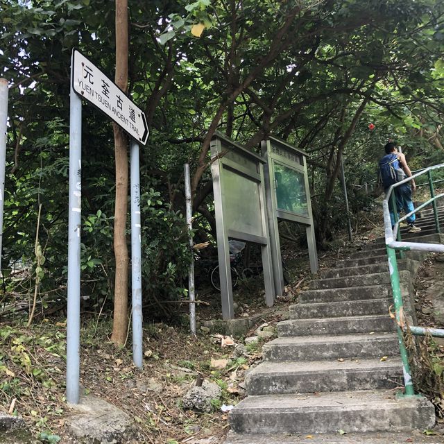 A memorable hike along Yuen Tsuen Ancient Trail 
