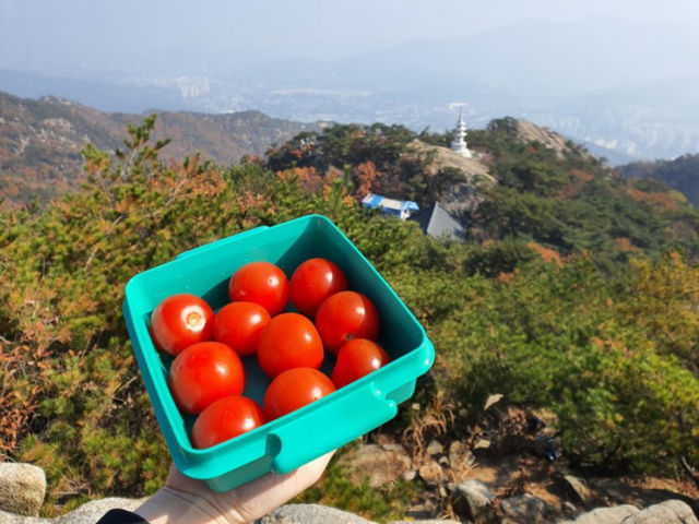 [서울] 가을에 오르면 더 예쁜 ‘관악산’