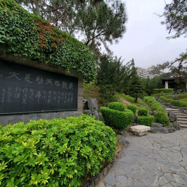 九龍寨城公園 - 2