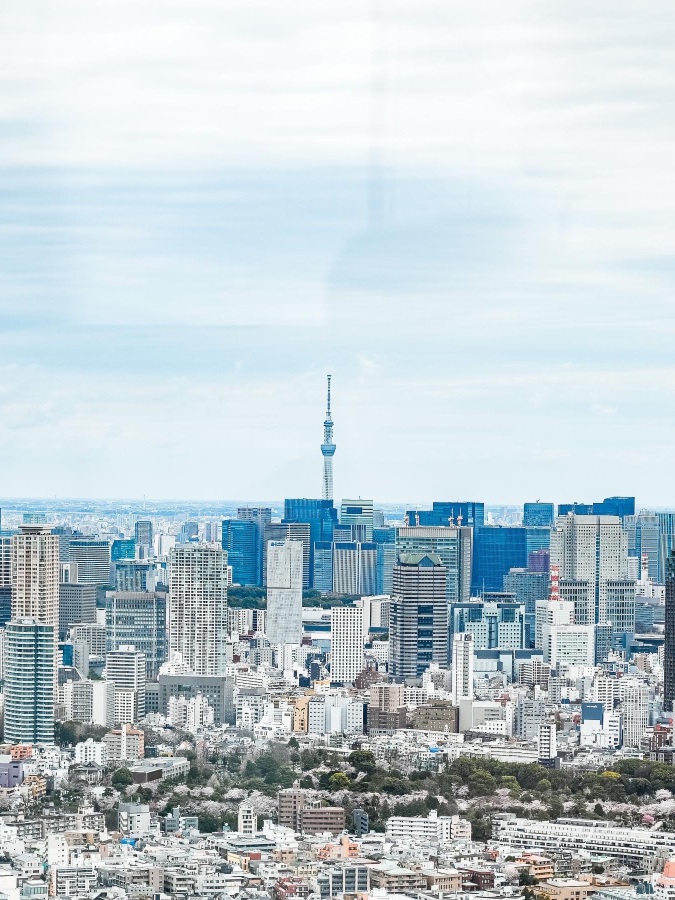 東京 パエリア専門店ホセルイスさん Trip Com 東京の旅のブログ