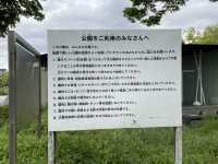 【大阪城公園】天守閣はもちろんお花見、お散歩なんでもできる