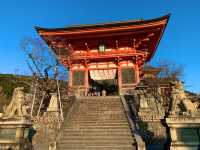 京都　京都散策旅！ねねの道から清水寺まで散策してみた！