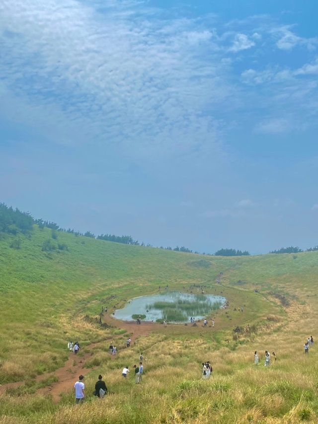 물이 있는 신기한 제주도 오름, 금악오름에 다녀왔어요 📸