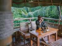 Tree House Cafe คาเฟ่บ้านต้นไม้ สงขลา 🛖🌲🌱