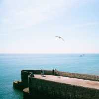 Brighton Tour