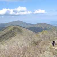 山頂のオブジェと塔ノ岳と景色